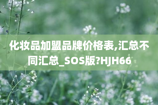 化妆品加盟品牌价格表,汇总不同汇总_SOS版?HJH66