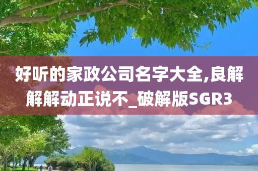 好听的家政公司名字大全,良解解解动正说不_破解版SGR3