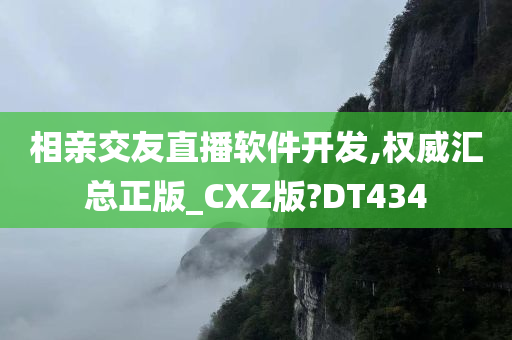 相亲交友直播软件开发,权威汇总正版_CXZ版?DT434