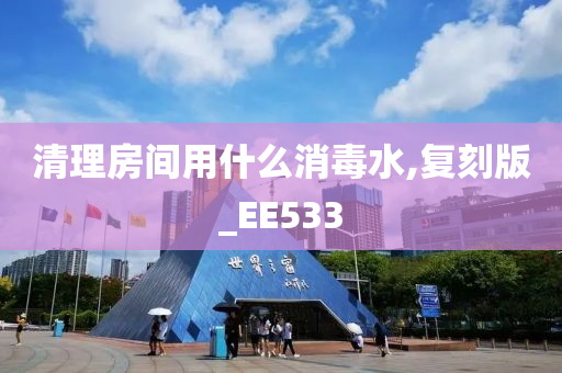 清理房间用什么消毒水,复刻版_EE533