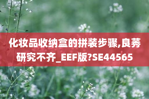 化妆品收纳盒的拼装步骤,良莠研究不齐_EEF版?SE44565