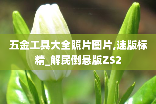 五金工具大全照片图片,速版标精_解民倒悬版ZS2