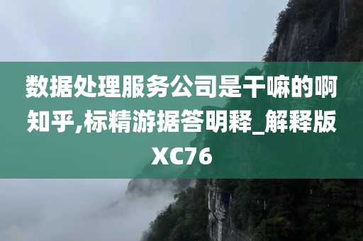 数据处理服务公司是干嘛的啊知乎,标精游据答明释_解释版XC76