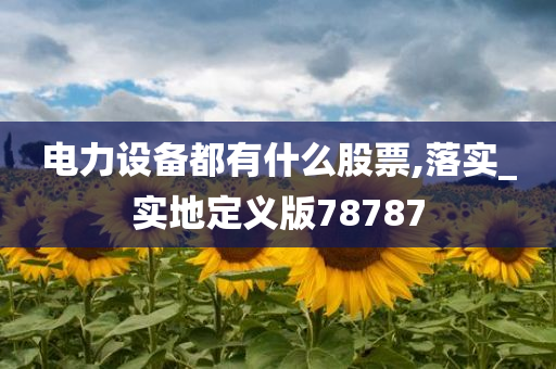 电力设备都有什么股票,落实_实地定义版78787