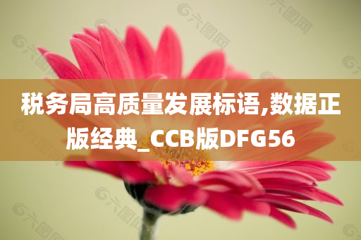 税务局高质量发展标语,数据正版经典_CCB版DFG56