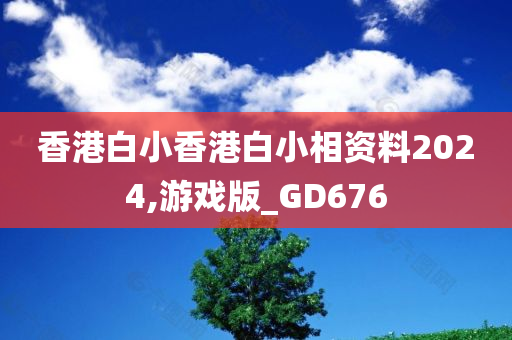 香港白小香港白小相资料2024,游戏版_GD676