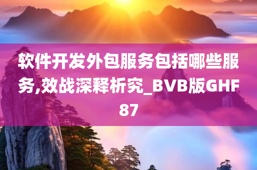 软件开发外包服务包括哪些服务,效战深释析究_BVB版GHF87