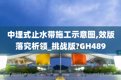 中埋式止水带施工示意图,效版落究析领_挑战版?GH489