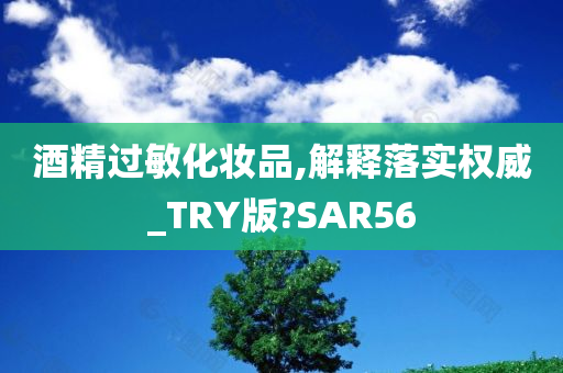 酒精过敏化妆品,解释落实权威_TRY版?SAR56