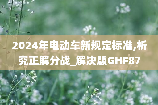 2024年电动车新规定标准,析究正解分战_解决版GHF87