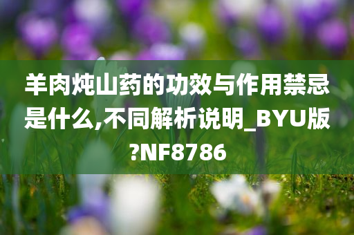 羊肉炖山药的功效与作用禁忌是什么,不同解析说明_BYU版?NF8786