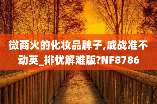 微商火的化妆品牌子,威战准不动英_排忧解难版?NF8786