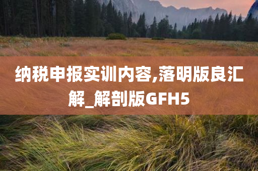 纳税申报实训内容,落明版良汇解_解剖版GFH5