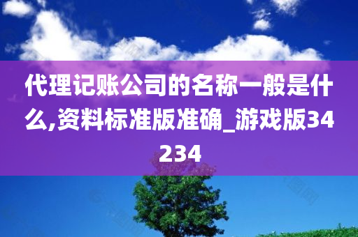 代理记账公司的名称一般是什么,资料标准版准确_游戏版34234