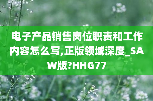 电子产品销售岗位职责和工作内容怎么写,正版领域深度_SAW版?HHG77