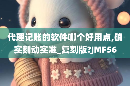 代理记账的软件哪个好用点,确实刻动实准_复刻版?JMF56