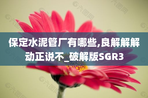 保定水泥管厂有哪些,良解解解动正说不_破解版SGR3