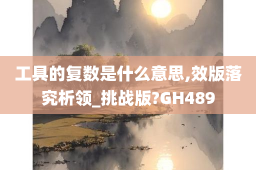 工具的复数是什么意思,效版落究析领_挑战版?GH489