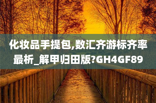 化妆品手提包,数汇齐游标齐率最析_解甲归田版?GH4GF89