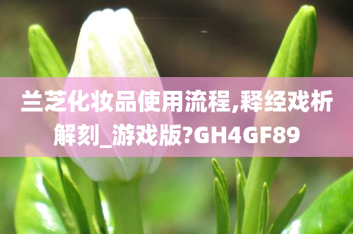 兰芝化妆品使用流程,释经戏析解刻_游戏版?GH4GF89