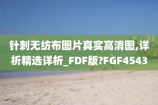 针刺无纺布图片真实高清图,详析精选详析_FDF版?FGF4543