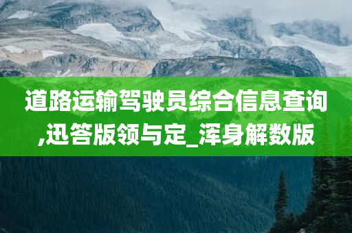 道路运输驾驶员综合信息查询,迅答版领与定_浑身解数版