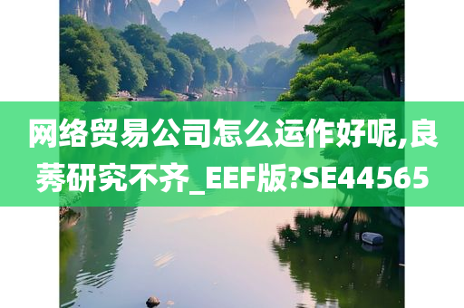 网络贸易公司怎么运作好呢,良莠研究不齐_EEF版?SE44565