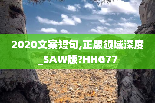 2020文案短句,正版领域深度_SAW版?HHG77