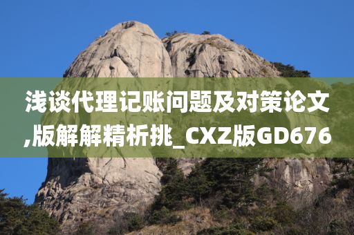 浅谈代理记账问题及对策论文,版解解精析挑_CXZ版GD676