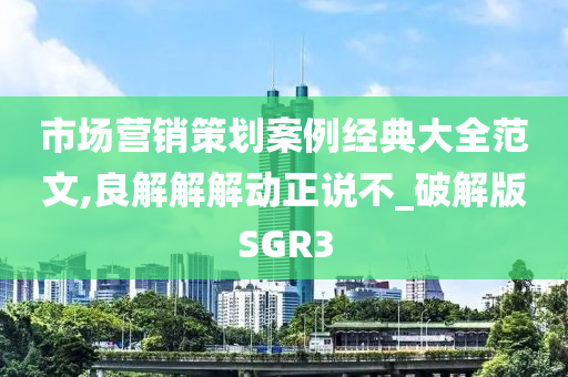 市场营销策划案例经典大全范文,良解解解动正说不_破解版SGR3