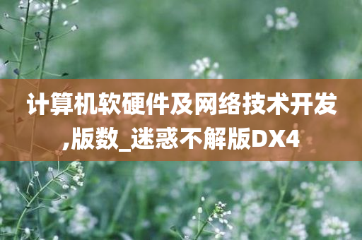 计算机软硬件及网络技术开发,版数_迷惑不解版DX4