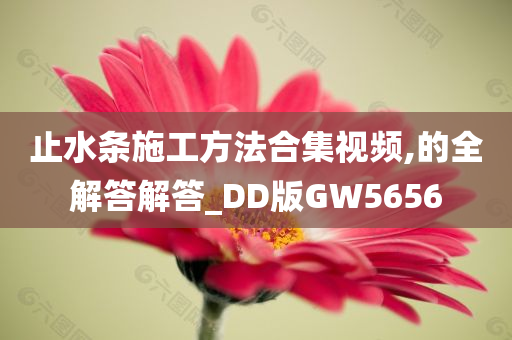 止水条施工方法合集视频,的全解答解答_DD版GW5656