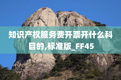 知识产权服务费开票开什么科目的,标准版_FF45