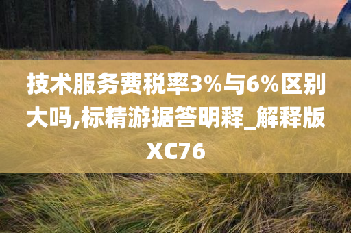 技术服务费税率3%与6%区别大吗,标精游据答明释_解释版XC76