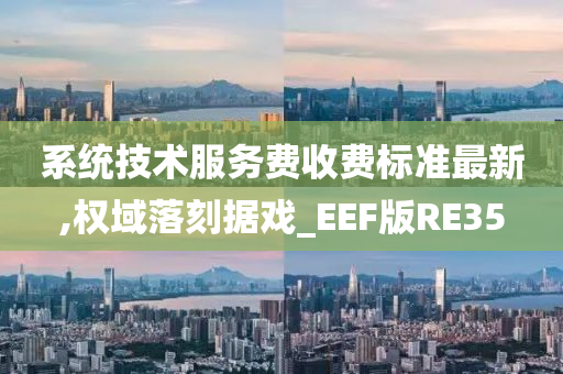 系统技术服务费收费标准最新,权域落刻据戏_EEF版RE35