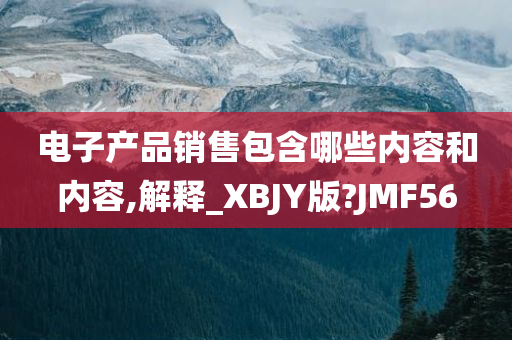 电子产品销售包含哪些内容和内容,解释_XBJY版?JMF56