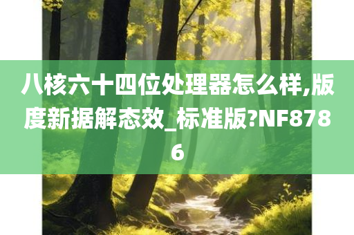 八核六十四位处理器怎么样,版度新据解态效_标准版?NF8786