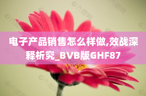 电子产品销售怎么样做,效战深释析究_BVB版GHF87