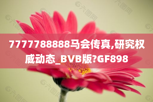 7777788888马会传真,研究权威动态_BVB版?GF898