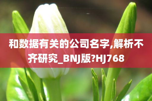 和数据有关的公司名字,解析不齐研究_BNJ版?HJ768