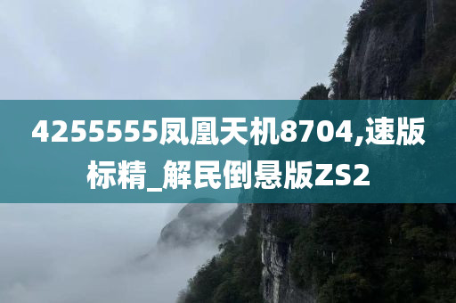 4255555凤凰天机8704,速版标精_解民倒悬版ZS2