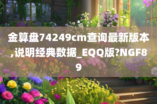 金算盘74249cm查询最新版本,说明经典数据_EQQ版?NGF89