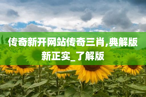 传奇新开网站传奇三肖,典解版新正实_了解版