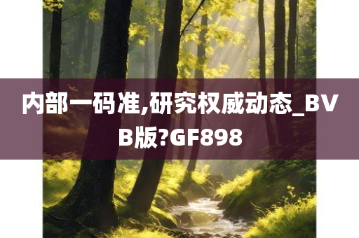 内部一码准,研究权威动态_BVB版?GF898