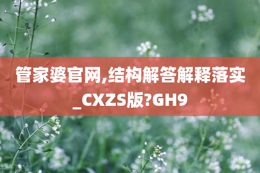 管家婆官网,结构解答解释落实_CXZS版?GH9