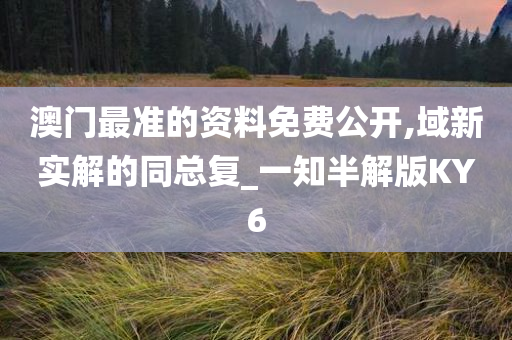 澳门最准的资料免费公开,域新实解的同总复_一知半解版KY6