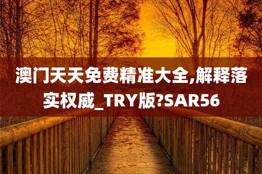 澳门天天免费精准大全,解释落实权威_TRY版?SAR56