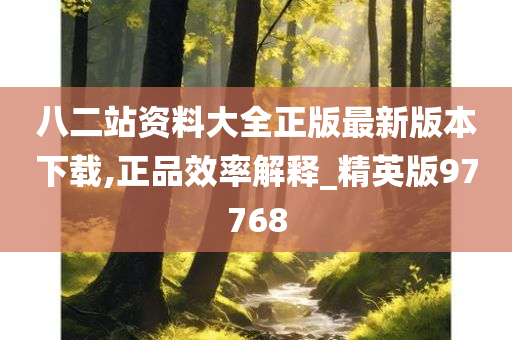 八二站资料大全正版最新版本下载,正品效率解释_精英版97768