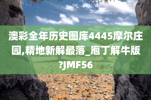 澳彩全年历史图库4445摩尔庄园,精地新解最落_庖丁解牛版?JMF56