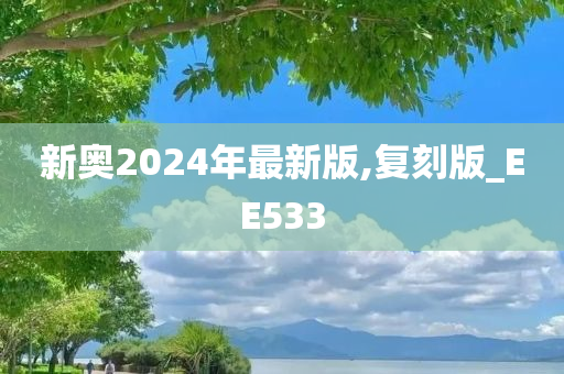 新奥2024年最新版,复刻版_EE533